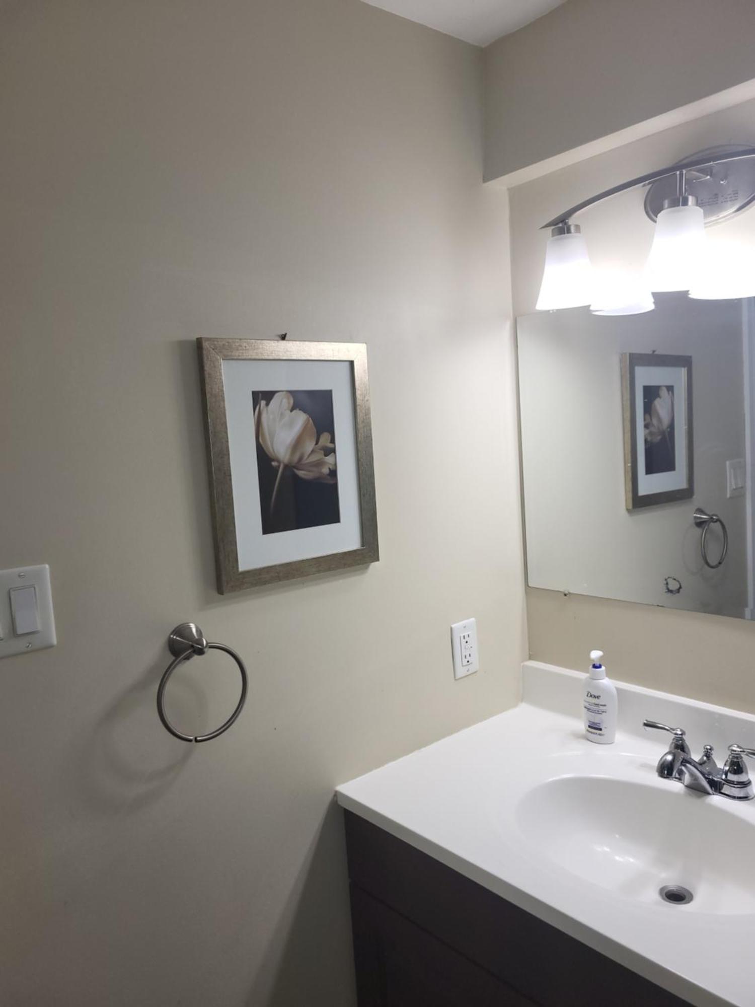 Lovely Guest Entire Apartment Minutes From Ottawa Airport Dış mekan fotoğraf